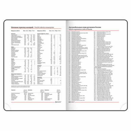 Ежедневник недатированный А5 (138х213 мм), BRAUBERG VISTA, под кожу, гибкий, 136 л., "Sunset at sea", 112041