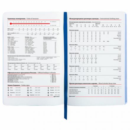 Ежедневник недатированный А5 (138х213 мм), BRAUBERG VISTA, под кожу, гибкий, 136 л., "Sunset at sea", 112041