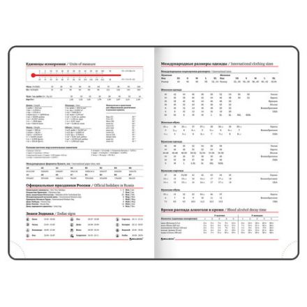 Ежедневник недатированный А5 138х213 мм BRAUBERG "Towny" под кожу, магнитный клапан 160 л., черный, 123785 Ежедневник недатированный А5 138х213 мм BRAUBERG "Towny" под кожу, магнитный клапан 160 л., черный, 123785