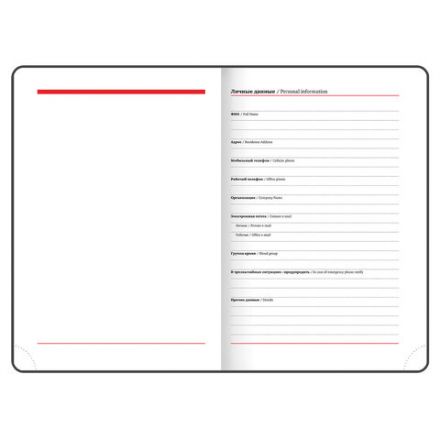 Ежедневник недатированный А5 138х213 мм BRAUBERG "Rainbow" под кожу, 136 л., зеленый, 111669