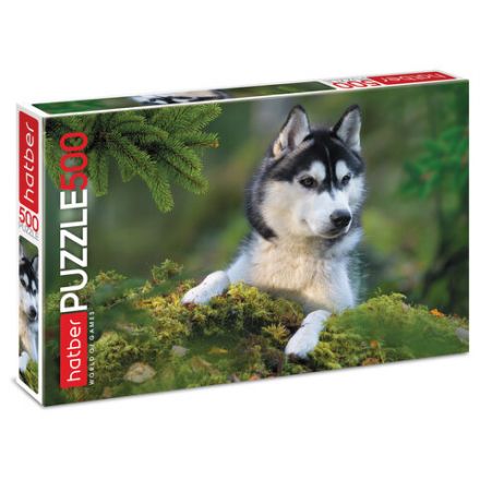 Пазл картонный 500 элементов АССОРТИ, 470х330мм, РК