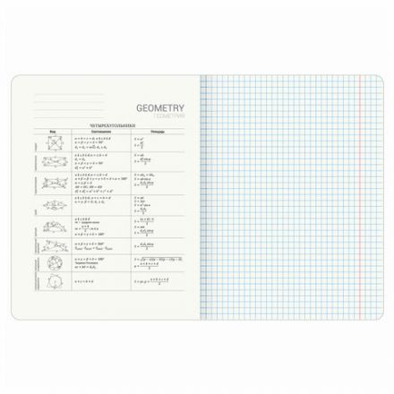 Тетрадь предметная "КОТ-ЭНТУЗИАСТ" 48 л., TWIN-лак, ГЕОМЕТРИЯ, клетка, подсказ, BRAUBERG, 404561