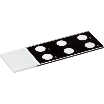 Стекло предметное 25х75х1,1 с 6-ю окошками СП-6  (50 шт/уп)