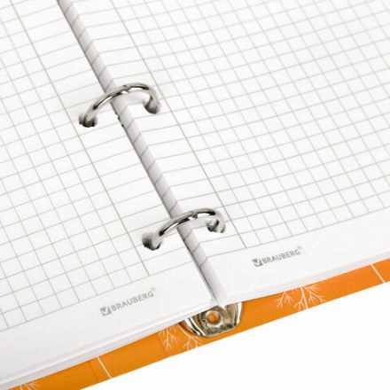 Тетрадь на кольцах А5 160х212 мм, 120 листов, картон, выборочный лак, клетка, BRAUBERG, "Flowers", 404729