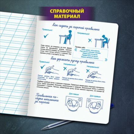 Тетрадь ПРОПИСЬ № 4 12 л. косая линия, со справочным материалом, обложка картон, ЮНЛАНДИЯ, 404851