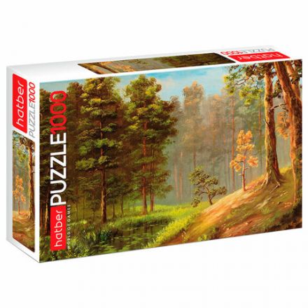 Пазл картонный 1000 элементов АССОРТИ, 10 дизайнов, 480х680 мм, HATBER