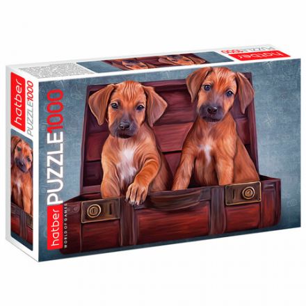 Пазл картонный 1000 элементов АССОРТИ, 10 дизайнов, 480х680 мм, HATBER