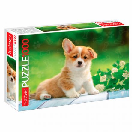 Пазл картонный 1000 элементов АССОРТИ, 10 дизайнов, 480х680 мм, HATBER