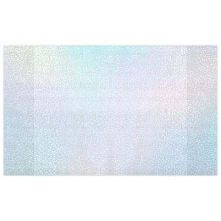 Обложки с ГОЛОГРАММОЙ для тетрадей и дневников, КОМПЛЕКТ 5 шт., ПЛОТНЫЕ, 100 мкм, 210x350 мм, FUNSTER (ФАНСТЕР), 274089