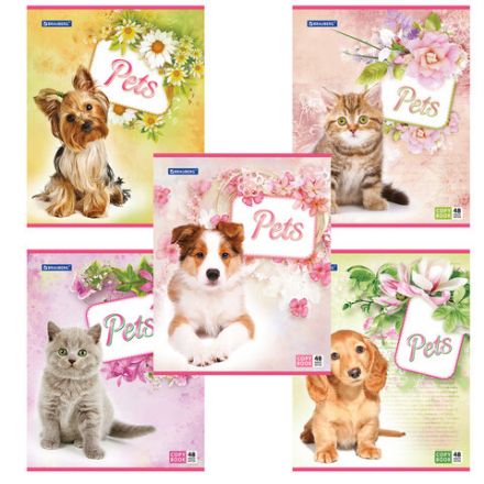 Тетрадь А5, 48 л., BRAUBERG, скоба, клетка, обложка картон, ЛЮБИМЧИКИ, 401816 Тетрадь А5, 48 л., BRAUBERG, скоба, клетка, обложка картон, ЛЮБИМЧИКИ, 401816