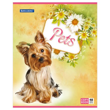 Тетрадь А5, 48 л., BRAUBERG, скоба, клетка, обложка картон, ЛЮБИМЧИКИ, 401816 Тетрадь А5, 48 л., BRAUBERG, скоба, клетка, обложка картон, ЛЮБИМЧИКИ, 401816