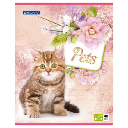 Тетрадь А5, 48 л., BRAUBERG, скоба, клетка, обложка картон, ЛЮБИМЧИКИ, 401816 Тетрадь А5, 48 л., BRAUBERG, скоба, клетка, обложка картон, ЛЮБИМЧИКИ, 401816