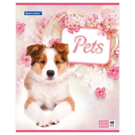 Тетрадь А5, 48 л., BRAUBERG, скоба, клетка, обложка картон, ЛЮБИМЧИКИ, 401816 Тетрадь А5, 48 л., BRAUBERG, скоба, клетка, обложка картон, ЛЮБИМЧИКИ, 401816