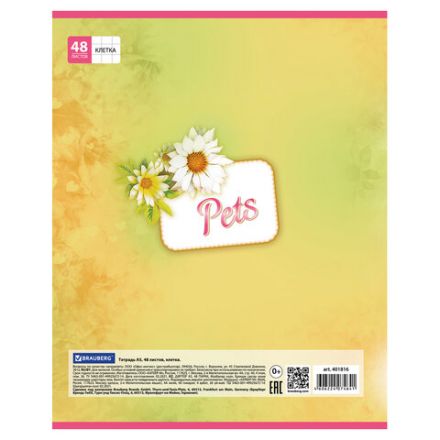 Тетрадь А5, 48 л., BRAUBERG, скоба, клетка, обложка картон, ЛЮБИМЧИКИ, 401816 Тетрадь А5, 48 л., BRAUBERG, скоба, клетка, обложка картон, ЛЮБИМЧИКИ, 401816