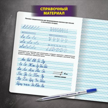 Тетрадь ПРОПИСЬ № 2 12 л. частая косая линия, со справочным материалом, ЮНЛАНДИЯ, 404852