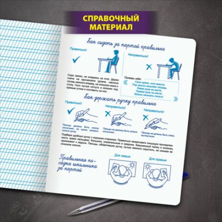 Тетрадь ПРОПИСЬ № 2 12 л. частая косая линия, со справочным материалом, ЮНЛАНДИЯ, 404852
