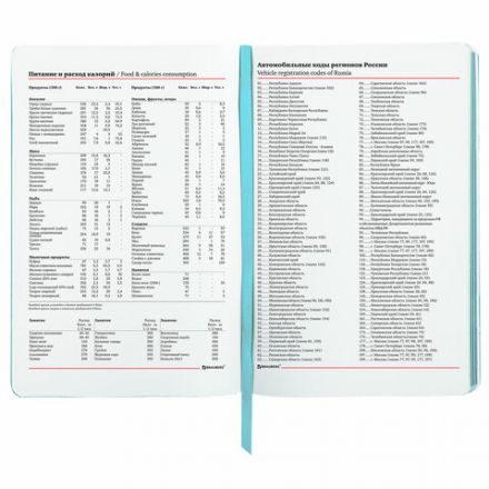 Ежедневник недатированный А5 (138х213 мм), BRAUBERG VISTA, под кожу, гибкий, 136 л., "Shed your skin", 112035