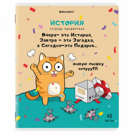 Тетрадь предметная "КОТ-ЭНТУЗИАСТ" 48 л., TWIN-лак, ИСТОРИЯ, клетка, подсказ, BRAUBERG, 404563