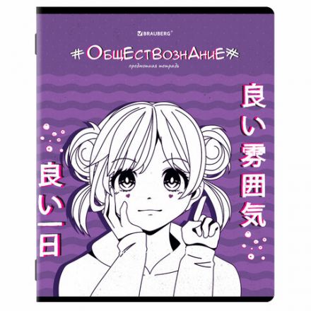 Тетради предметные, КОМПЛЕКТ 12 ПРЕДМЕТОВ, 48 л., глянцевый УФ-лак, BRAUBERG, "ANIME", 404608