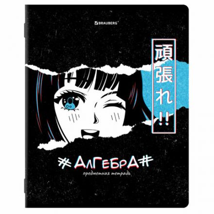 Тетради предметные, КОМПЛЕКТ 12 ПРЕДМЕТОВ, 48 л., глянцевый УФ-лак, BRAUBERG, "ANIME", 404608