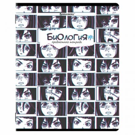 Тетради предметные, КОМПЛЕКТ 12 ПРЕДМЕТОВ, 48 л., глянцевый УФ-лак, BRAUBERG, "ANIME", 404608