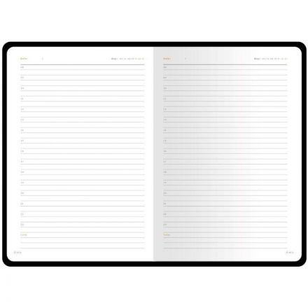 Ежедневник недатированный а5 145 х 210 мм Polo New серый 320 стр. 3-515/06