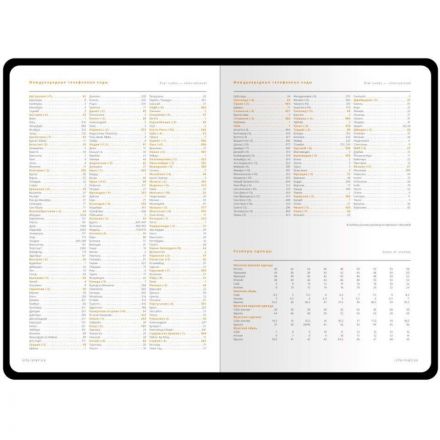 Ежедневник недатированный а5 145 х 210 мм Polo New серый 320 стр. 3-515/06