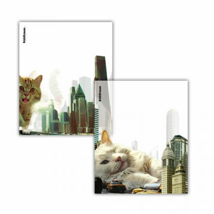 Обложки ПП для тетрадей и дневников ERICH KRAUSE "Big City Cats", КОМПЛЕКТ 12 шт., 80 мкм, 212х347 мм, 63508