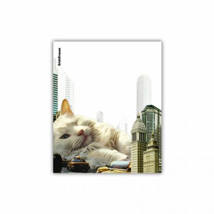 Обложки ПП для тетрадей и дневников ERICH KRAUSE "Big City Cats", КОМПЛЕКТ 12 шт., 80 мкм, 212х347 мм, 63508