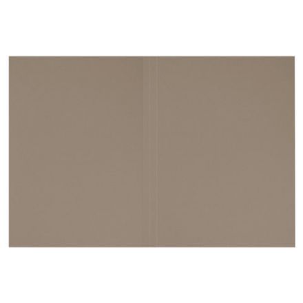 Папка без скоросшивателя "Дело", картон, плотность 280 г/м2, до 200 листов, ОФИСМАГ, 124572