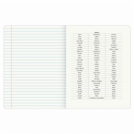 Тетрадь предметная "КОТ-ЭНТУЗИАСТ" 48 л., TWIN-лак, РУССКИЙ ЯЗЫК, линия, подсказ, BRAUBERG, 404565