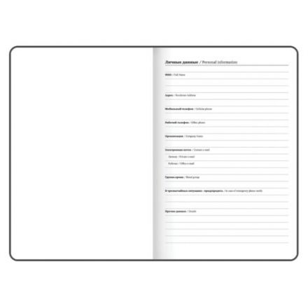 Ежедневник датированный 2026 с резинкой 145х203 мм, А5, BRAUBERG, твердый, "Безмятежность", 117336