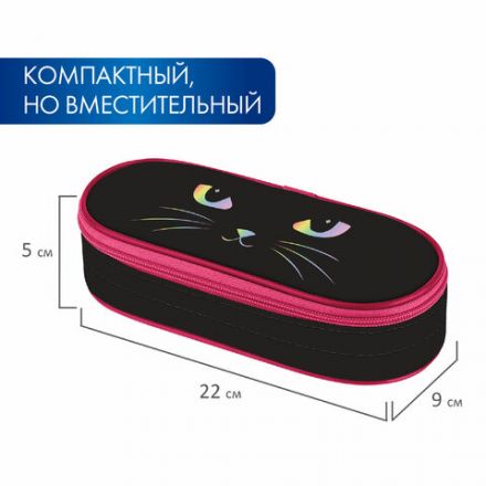 Пенал-футляр BRAUBERG, 1 отделение, органайзер, полиэстер, 22x9x5 см, "Cat eye", 271585 Пенал-футляр BRAUBERG, 1 отделение, органайзер, полиэстер, 22x9x5 см, "Cat eye", 271585