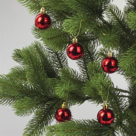 Шары ёлочные 12 шт., 4 см, "Solid Color", пластик, КРАСНЫЕ, глянец, ЗОЛОТАЯ СКАЗКА, 591123 Шары ёлочные 12 шт., 4 см, "Solid Color", пластик, КРАСНЫЕ, глянец, ЗОЛОТАЯ СКАЗКА, 591123