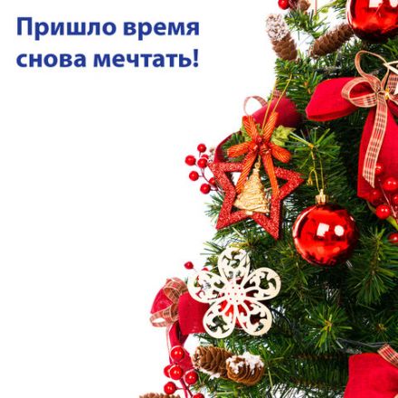 Шары ёлочные 12 шт., 4 см, "Solid Color", пластик, КРАСНЫЕ, глянец, ЗОЛОТАЯ СКАЗКА, 591123 Шары ёлочные 12 шт., 4 см, "Solid Color", пластик, КРАСНЫЕ, глянец, ЗОЛОТАЯ СКАЗКА, 591123