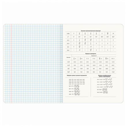 Тетради предметные, КОМПЛЕКТ 12 ПРЕДМЕТОВ, 48 л., TWIN-лак, BRAUBERG, "КОТ-ЭНТУЗИАСТ", 404609