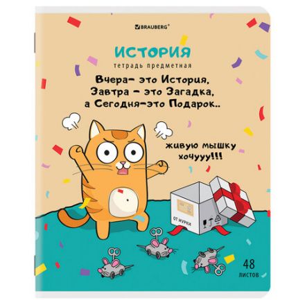 Тетради предметные, КОМПЛЕКТ 12 ПРЕДМЕТОВ, 48 л., TWIN-лак, BRAUBERG, "КОТ-ЭНТУЗИАСТ", 404609