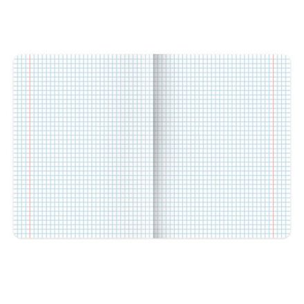 Тетради предметные, КОМПЛЕКТ 12 ПРЕДМЕТОВ, 48 л., TWIN-лак, BRAUBERG, "КОТ-ЭНТУЗИАСТ", 404609