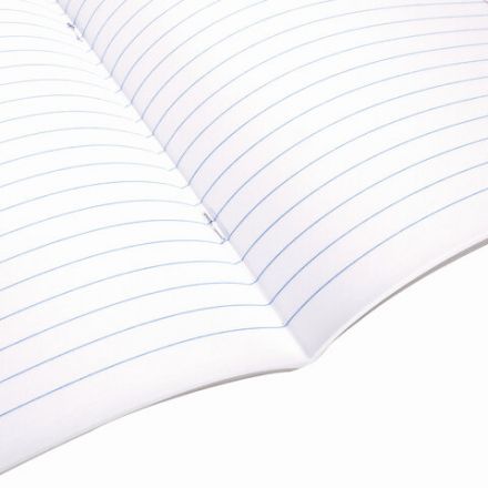 Тетрадь 24 л. BRAUBERG ЭКО "5-КА", линия, обложка картон 170 г/м2, ЗЕЛЕНАЯ, 403004