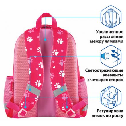 Ранец ПИФАГОР EVA BASIC, 1 отделение, "Fluffy cat", 39х30х16 см, 270691