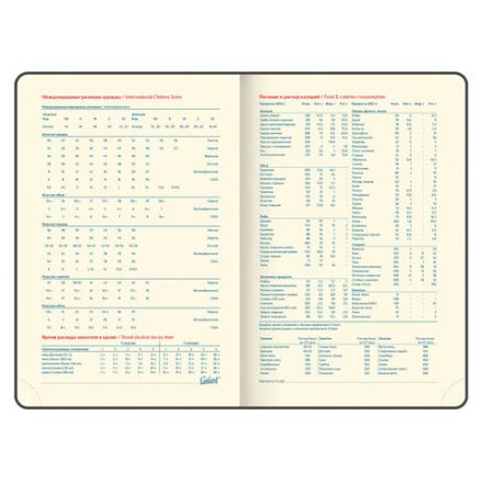 Ежедневник недатированный А5 (148х218 мм) GALANT "Magnetic", кожзам, магнитный клапан, 160 л., синий, 111879 Ежедневник недатированный А5 (148х218 мм) GALANT "Magnetic", кожзам, магнитный клапан, 160 л., синий, 111879
