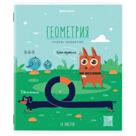 Тетрадь предметная DOG БОБИК 48 л., TWIN-лак, ГЕОМЕТРИЯ, клетка, подсказ, BRAUBERG, 404787 Тетрадь предметная DOG БОБИК 48 л., TWIN-лак, ГЕОМЕТРИЯ, клетка, подсказ, BRAUBERG, 404787