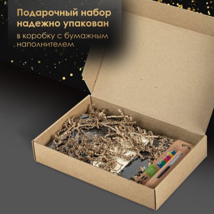 Ручка шариковая PARKER "Jotter Plastic CT", корпус черный, ежедневник А5 черный, золотой срез, пакет, 880894