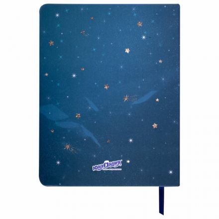 Дневник 1-11 класс 48 л., кожзам (твердая), печать, глиттер, ЮНЛАНДИЯ, "Space Avo", 106201
