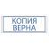 Штамп стандартный "КОПИЯ ВЕРНА", оттиск 38х14 мм, синий, TRODAT 4911P4-3.45, 4911-3.45