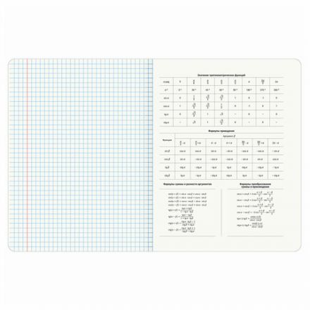 Тетради предметные, КОМПЛЕКТ 12 ПРЕДМЕТОВ, "ELEGANCE", 48 л., SoftTouch, фольга, BRAUBERG, 404611