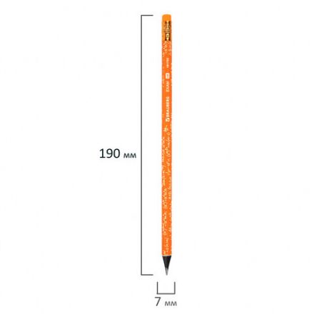 Карандаш чернографитный BRAUBERG "EXAM", 1 шт., HB, с ластиком, корпус ассорти, 181753
