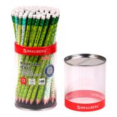 Карандаш чернографитный BRAUBERG "GREEN", 1 шт., HB, с ластиком, пластиковый, ассорти, 181746 Карандаш чернографитный BRAUBERG "GREEN", 1 шт., HB, с ластиком, пластиковый, ассорти, 181746