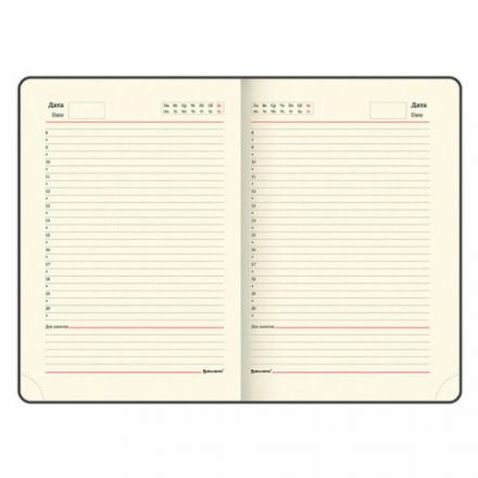 Ручка шариковая PARKER "Jotter Plastic CT", корпус черный, ежедневник А5 черный, белый срез, пакет, 880895