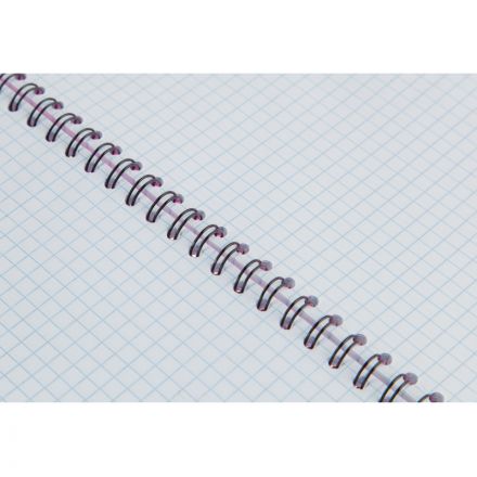 Бизнес-тетрадь Тетрадь Attache Неон А5 80л, кл.спираль, обл. тонкий пластик, розовый Бизнес-тетрадь Тетрадь Attache Неон А5 80л, кл.спираль, обл. тонкий пластик, розовый